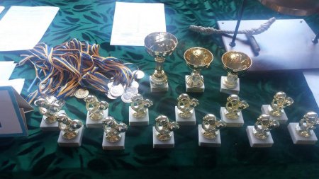 18 кременчуцьких боксерів стали кращими на турнірі пам'яті Віктора Шевченка