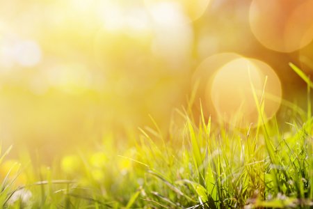 Літо прийшло: сухим, сонячним та вітряним буде вікенд у Кременчуці