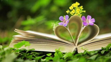 Бібліотекар, свекруха і велика таємниця: що новенького кременчужанам почитати на вихідних