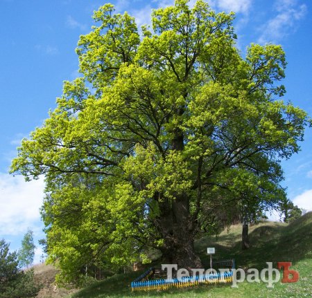 Там, где ходили мамонты – Путешествуй с «Телеграфом»