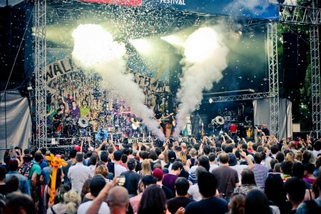 Вікінги, собаки та йога: куди кременчужанам податися пофестивалити у червні