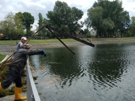 Як у Міському саду чистять озеро