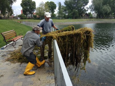 Як у Міському саду чистять озеро