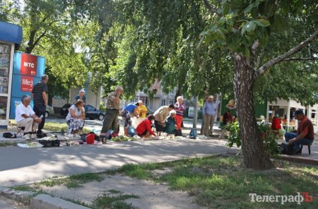 Стихийные торговцы в Кременчуге вытаптывают газоны, – мэрия
