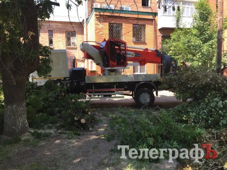 Фотофакт: в Кременчуге аллергики придумали новый метод борьбы с тополиным пухом