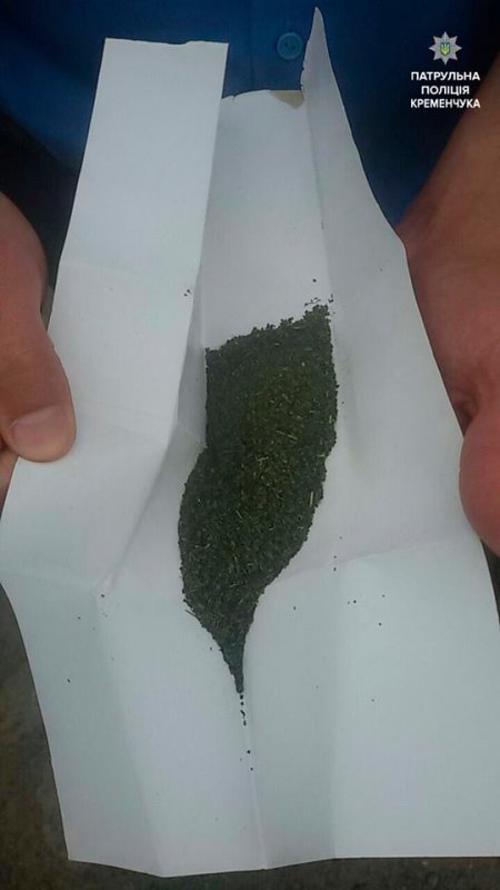 У матюкливого чоловіка кременчуцькі копи знайшли наркотики У матюкливого чоловіка кременчуцькі копи знайшли наркотики
