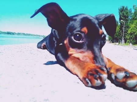 «Моя Україна» у об'єктиві юних кременчужанок