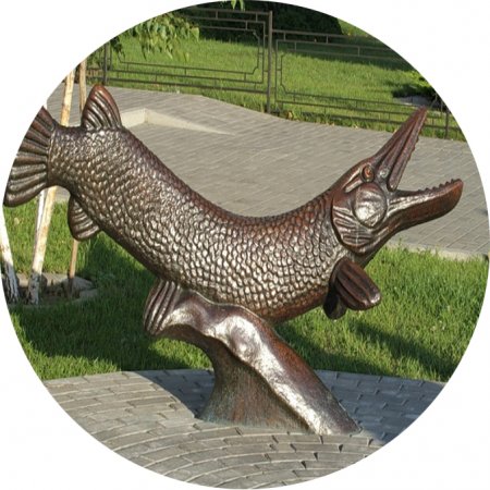 Кременчуг  vs город из ЕС: Русе (Болгария)