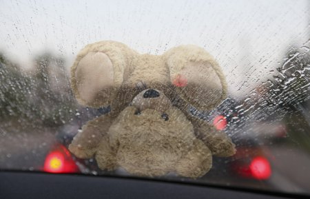 На Полтавщине под колёса «Таврии» попал 8-летний мальчик На Полтавщине под колёса «Таврии» попал 8-летний мальчик