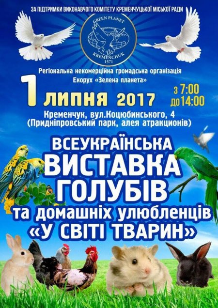 1 июля голуби со всей Украины слетятся в Кременчуг