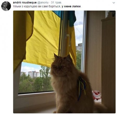 В конце рабочего дня: когда ты ооочень хотел, но у тебя лапки