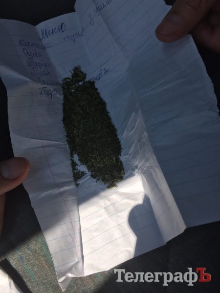 Под Кременчугом задержали 19-летнюю торговку наркотиками