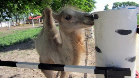 Побег из Кременчуга. Куда вырваться на день: неморские поездки