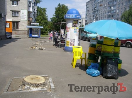 Чиновники объяснили, как на остановке "Центр" снесли деревья