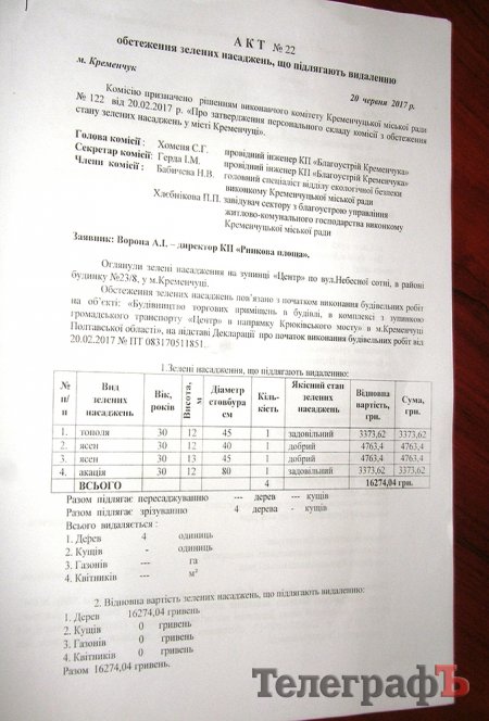 Чиновники объяснили, как на остановке "Центр" снесли деревья
