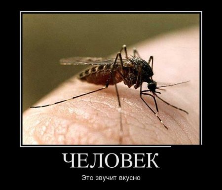 Пациенты Третьей горбольницы Кременчуга «вешаются» от жары и комаров