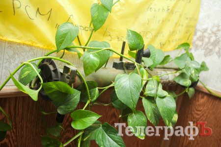 #будьякмирослав: наймолодший селищний голова Полтавщини розповів, як Пивиха-фест врятує Пивиху