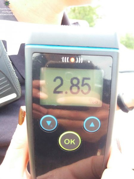 Ехал пьяный, ударил Lexus, слетел в кювет - кременчужанин «развлекался» на Раковке