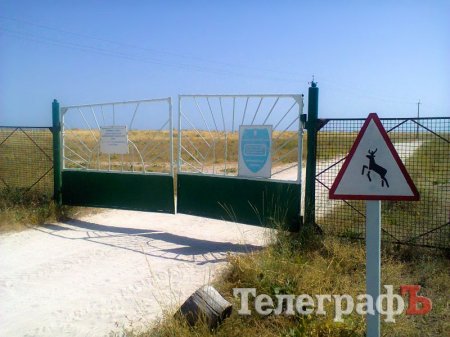 Остров  президентов и оленей: Обратная сторона Кирилловки