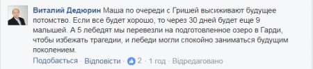 «А лєбєдь красівий?»: директор Міськсаду змонтував кліп про любов між ним та Гришею