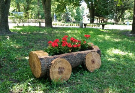 У парку «Крюківський» квіти катаються на візках