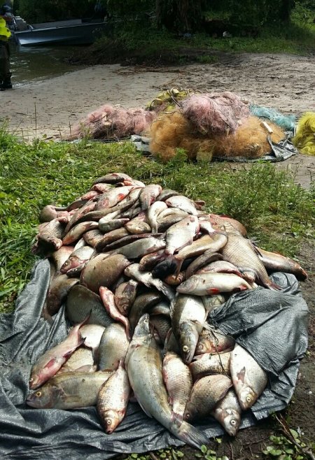 Браконьеры пытались скрыться на лодке от полиции и толкали патрульного