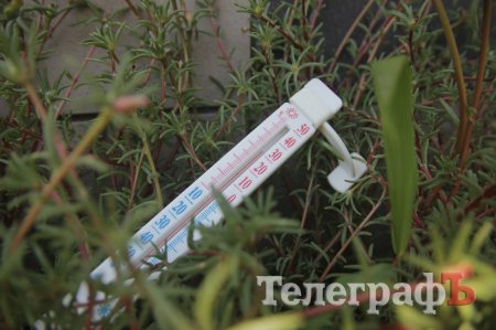 В Кременчуге ад: как вы спасаетесь от жары?