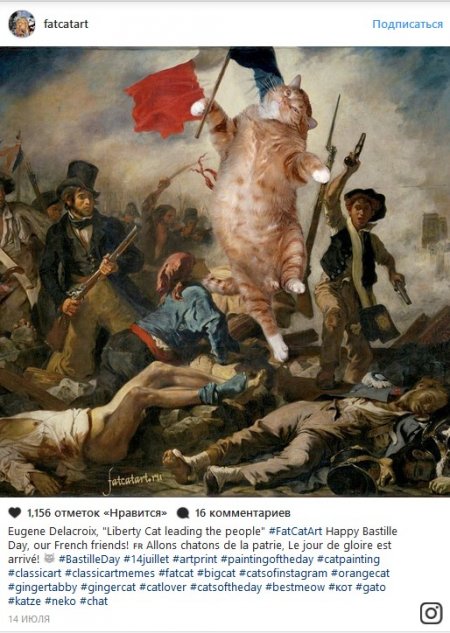 В конце рабочего дня: самые популярные коты Сети