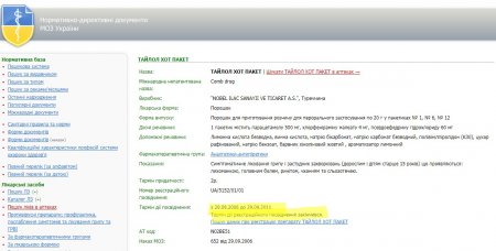 Под Кременчугом на берегу Псла неизвестные сожгли грузовик лекарств от гриппа