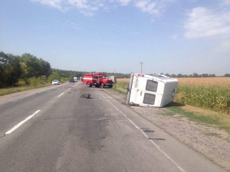 Под Кременчугом в лобовую столкнулись два грузовика
