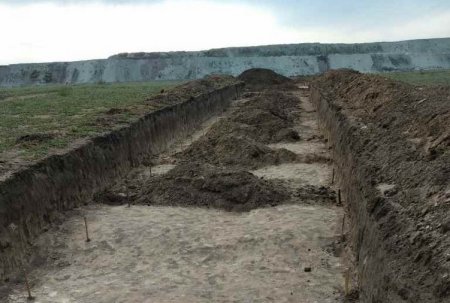 Дивина: археологи знайшли під Горішніми Плавнями останки невідомої домашньої тварини
