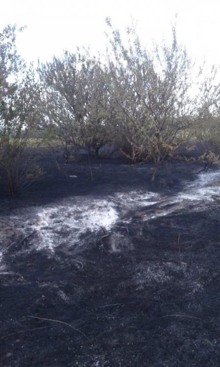 Під Кременчуком горів житловий будинок