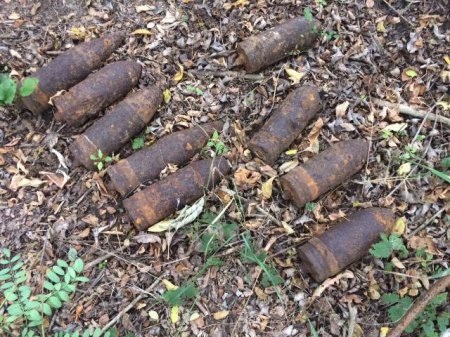 Под Кременчугом в лесополосе нашли 9 снарядов