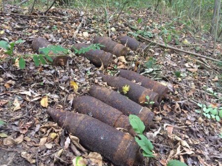 Под Кременчугом в лесополосе нашли 9 снарядов