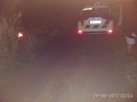 Под Кременчугом пьяный мужчина с двумя детьми перевернулся на мотоблоке