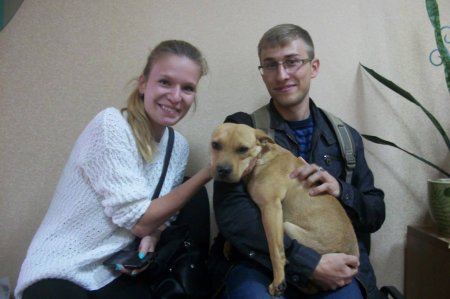 Солнышко нашел новый дом: кременчугская пара приютила «пёсика из мешка на свалке» Солнышко нашел новый дом: кременчугская пара приютила «пёсика из мешка на свалке»