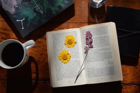 Відьми, янголи та Принц: що новенького кременчужанам почитати на вихідних Відьми, янголи та Принц: що новенького кременчужанам почитати на вихідних