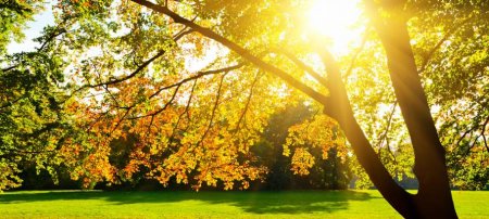 На выходных в Кременчуге будет тепло и сухо На выходных в Кременчуге будет тепло и сухо