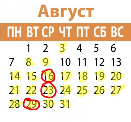 Какой дрянью дышали кременчужане жарким летом 2017-го – что показало вскрытие