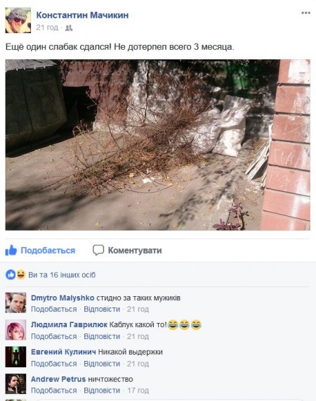 «Никакой выдержки»: в Кременчуге неизвестный выбросил ёлочку