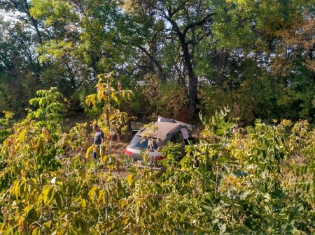 По дороге на Александрию в лобовую столкнулись Volkswagen и BMW