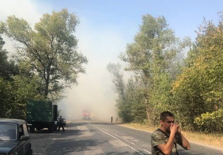 В Кременчуге в районе Малой Кохновки горит лес: на Горишние Плавни перекрыли дорогу