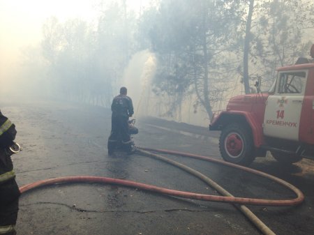 В Кременчуге в районе Малой Кохновки горит лес: на Горишние Плавни перекрыли дорогу