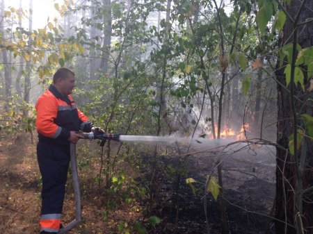Появилось видео того, как под Кременчугом горит лес