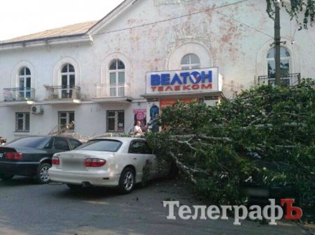 В Кременчуге дерево упало на три автомобиля: в одном из них была девушка