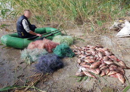 Кременчугская водная полиция задержала браконьера с 66 кг рыбы