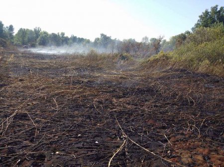 Под Кременчугом горели торфяники Под Кременчугом горели торфяники