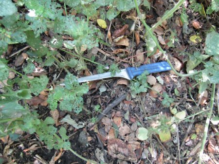 На Полтавщине разбойник отобрал у бабушки деньги, телефон и еду