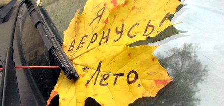 На выходных в Кременчуге не потеплеет: обещают сильные заморозки На выходных в Кременчуге не потеплеет: обещают сильные заморозки