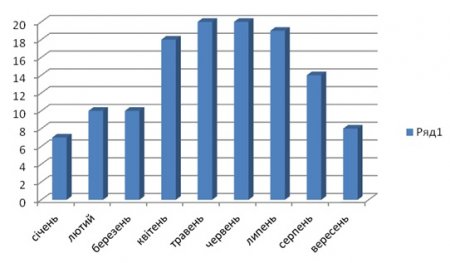 Обережно, зла собака: як кременчужанам вберегтися від сказу
